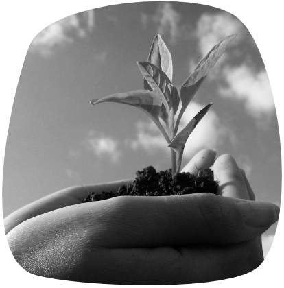 growth-plant-hands